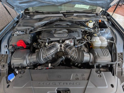 2024 Ford Mustang Dark Horse