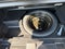2022 Honda Passport Elite
