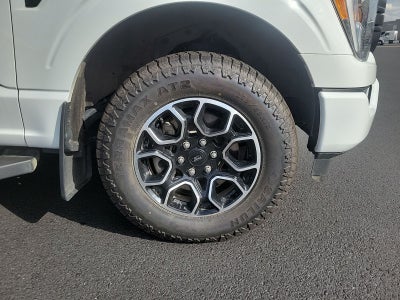 2023 Ford F-150 Base