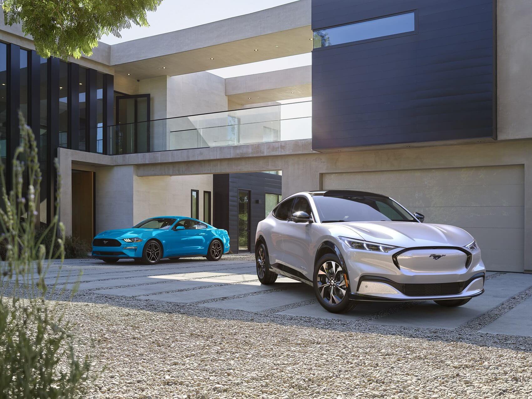Our Lineup of Electric Cars